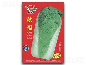 秋福-白菜種子-仁大農(nóng)業(yè)