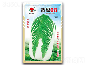 秋盈68-白菜種子-仁大農(nóng)業(yè)