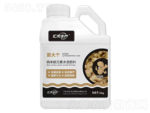 納米碳元素水溶肥料-姜大個(gè)-匯禾豐產(chǎn)