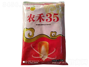 農(nóng)禾35-玉米種子-農(nóng)德利