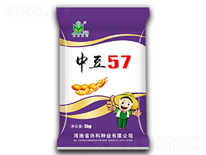 中豆57-大豆種子-許科種業(yè)