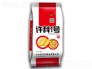 許科1號(hào)-小麥種子-許科種業(yè)