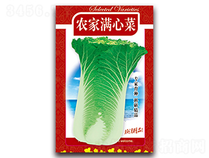 農(nóng)家滿心菜-精品白菜種子-天星種業(yè)