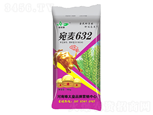 宛麥632（小麥種子）-民樂(lè)意-鼎冠種業(yè)