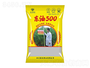 油菜種子-東油500-恒禾種業(yè)