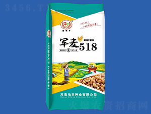 軍麥518（15kg）-小麥種子-地豐種業(yè)