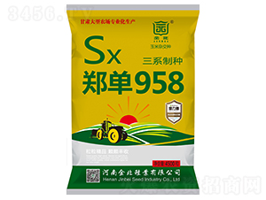 鄭單958-玉米雜交種子-金北種業(yè)