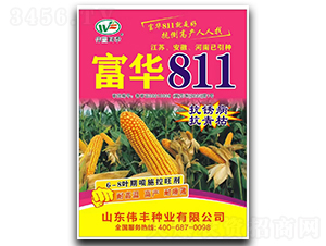 富華811-玉米種子-偉豐種業(yè)