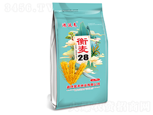 衡麥28小麥種子-鴻運(yùn)來-晨禾種業(yè)