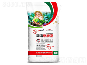 復(fù)合微生物肥料-糖蜜底施飽-文婷肥業(yè)