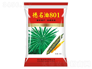 德名油801-油菜種子-德名種業(yè)