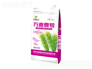 萬麥壹號(hào)12.5kg-萬家糧倉-萬擔(dān)糧