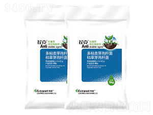 5kg抗重茬微生物菌劑-茬克-外聯生物