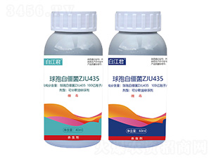 球孢白僵菌ZJU435-聚立信生物