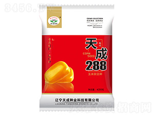 玉米種子-天成288-農(nóng)哈哈-天成種業(yè)