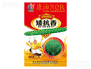 康油702R-油菜種子-康地科技