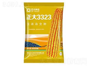 正大3323-玉米種子-正大種業(yè)