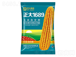 正大1689-玉米種子-正大種業(yè)