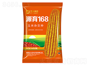 源育168-玉米種子-正大種業(yè)