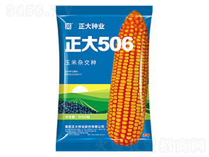 正大506-玉米種子-正大種業(yè)