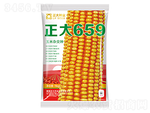 正大659-玉米種子-正大種業(yè)