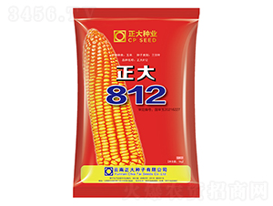 正大812-玉米種子-正大種業(yè)