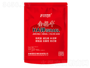 金福牛HA鉀（ISRAEL）-和潤農(nóng)業(yè)