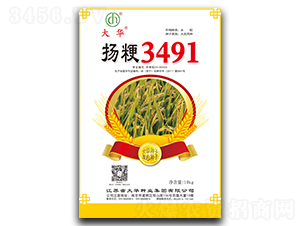 揚(yáng)粳3491-水稻種子-大華種業(yè)