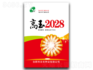 高玉2028-玉米種子-合豐種業(yè)