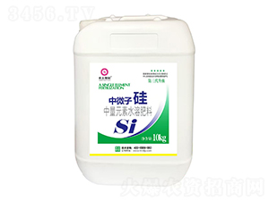 10kg΢ӹ-r(nng)ڈ@